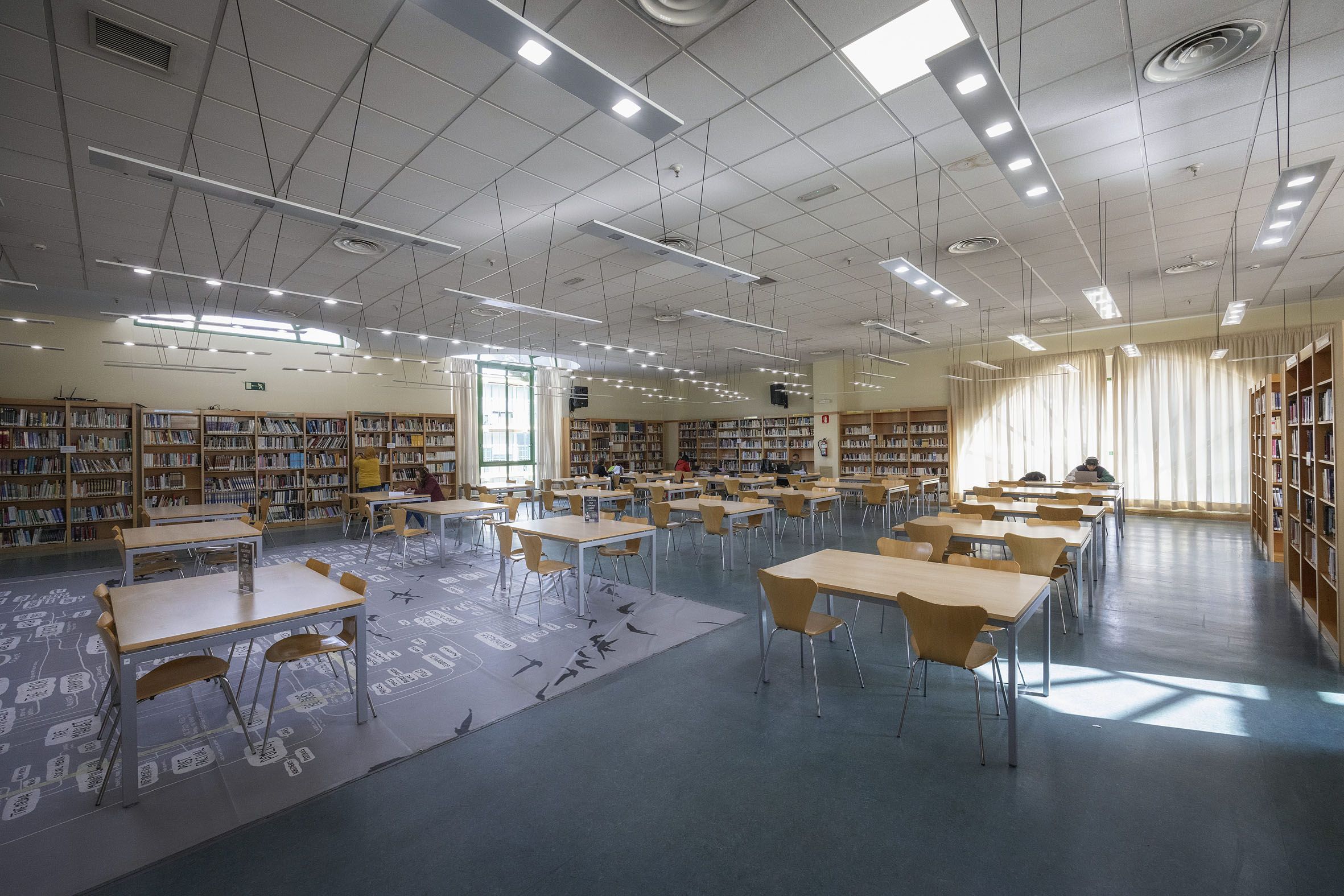 Odoo • Texto e imagen