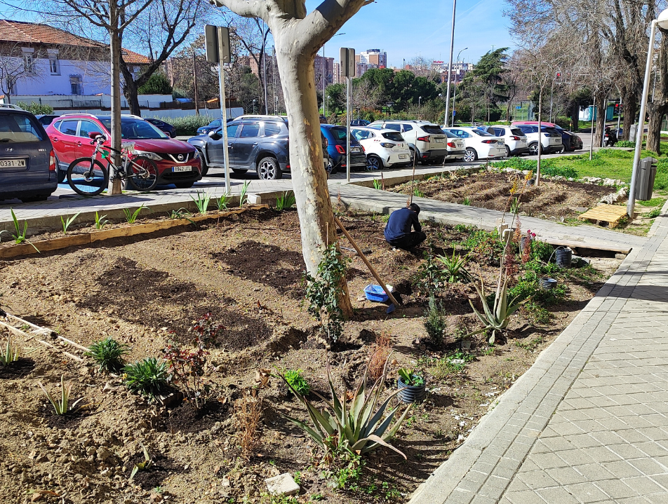 Salvajes, silvestres y espontaneas. Líquenes, cortos experimentales