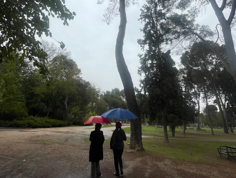 Patricia Portela. Red Social